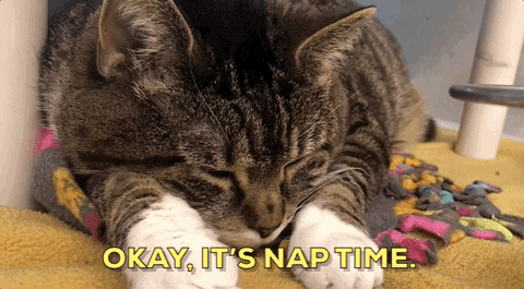 /test-driven-development-by-example/nap-time.gif